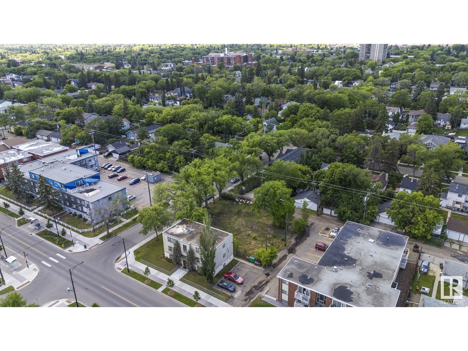 12414 113 Av Nw, Edmonton, Alberta  T5M 2W5 - Photo 12 - E4442989