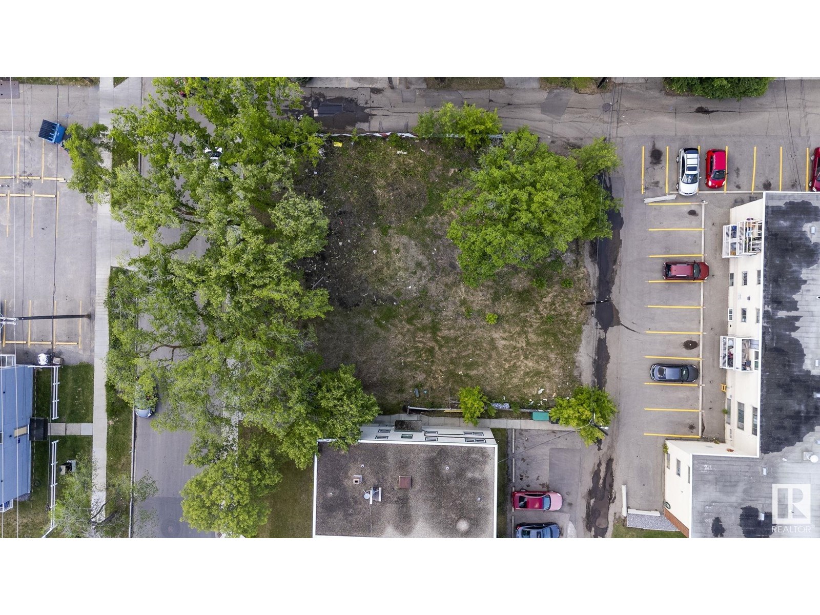 12414 113 Av Nw, Edmonton, Alberta  T5M 2W5 - Photo 14 - E4442989