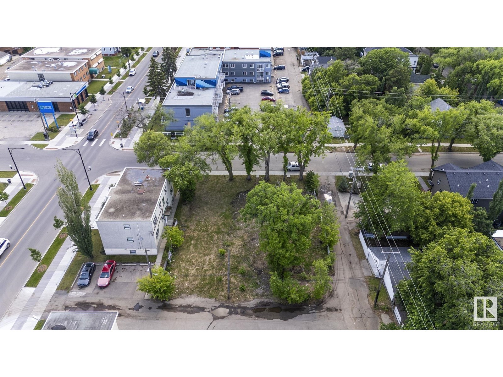 12414 113 Av Nw, Edmonton, Alberta  T5M 2W5 - Photo 9 - E4442989