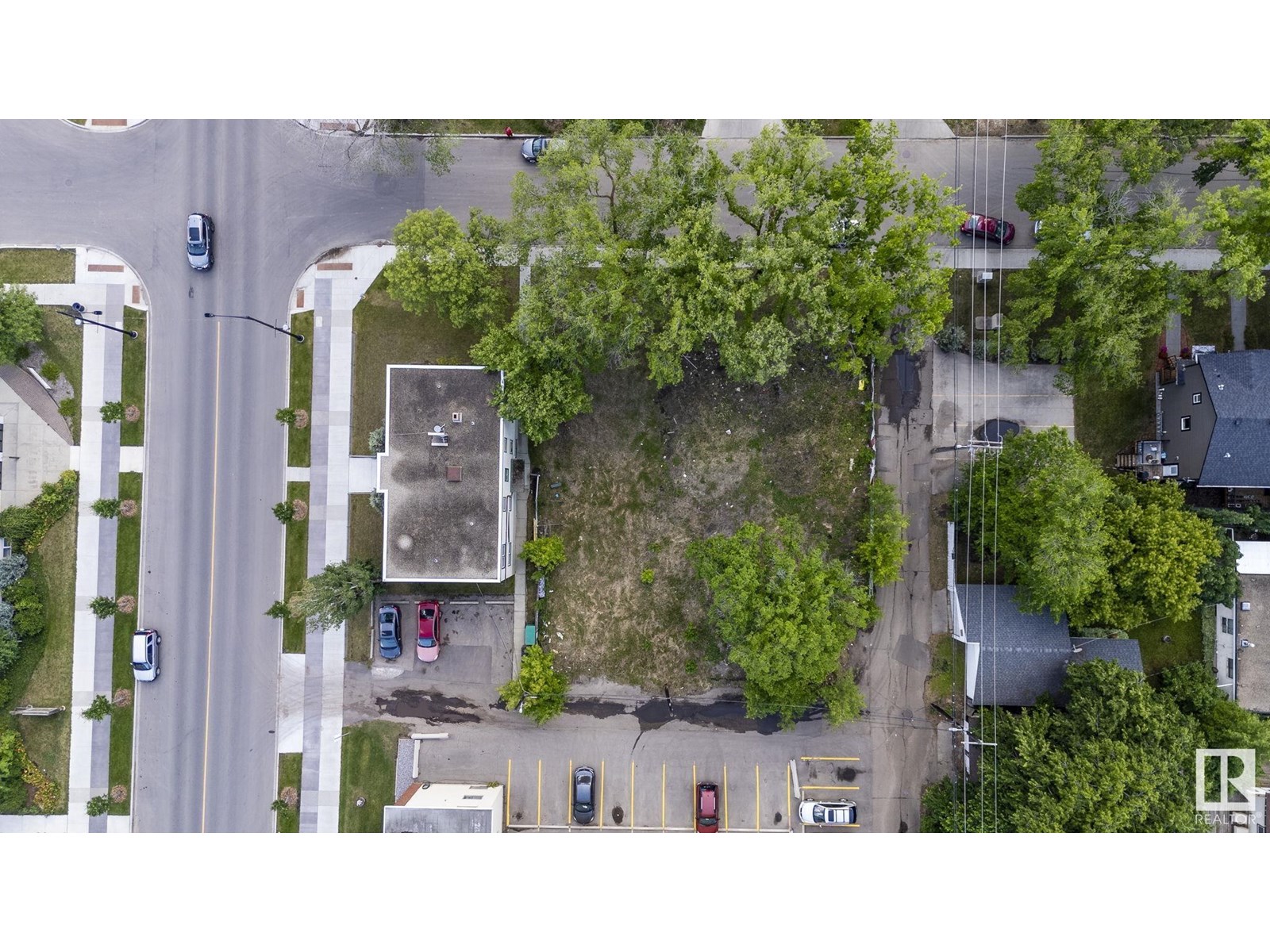 12414 113 Av Nw, Edmonton, Alberta  T5M 2W5 - Photo 15 - E4442989