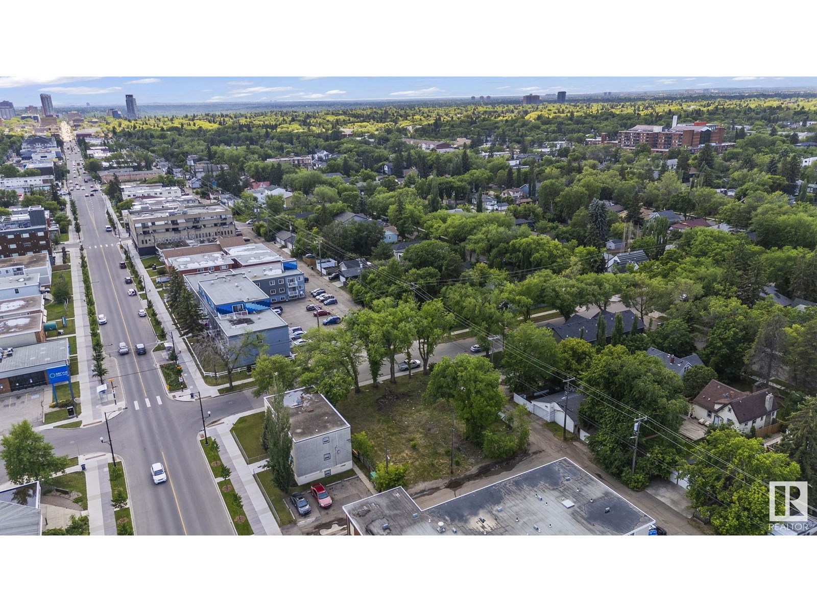 12414 113 Av Nw, Edmonton, Alberta  T5M 2W5 - Photo 11 - E4442989