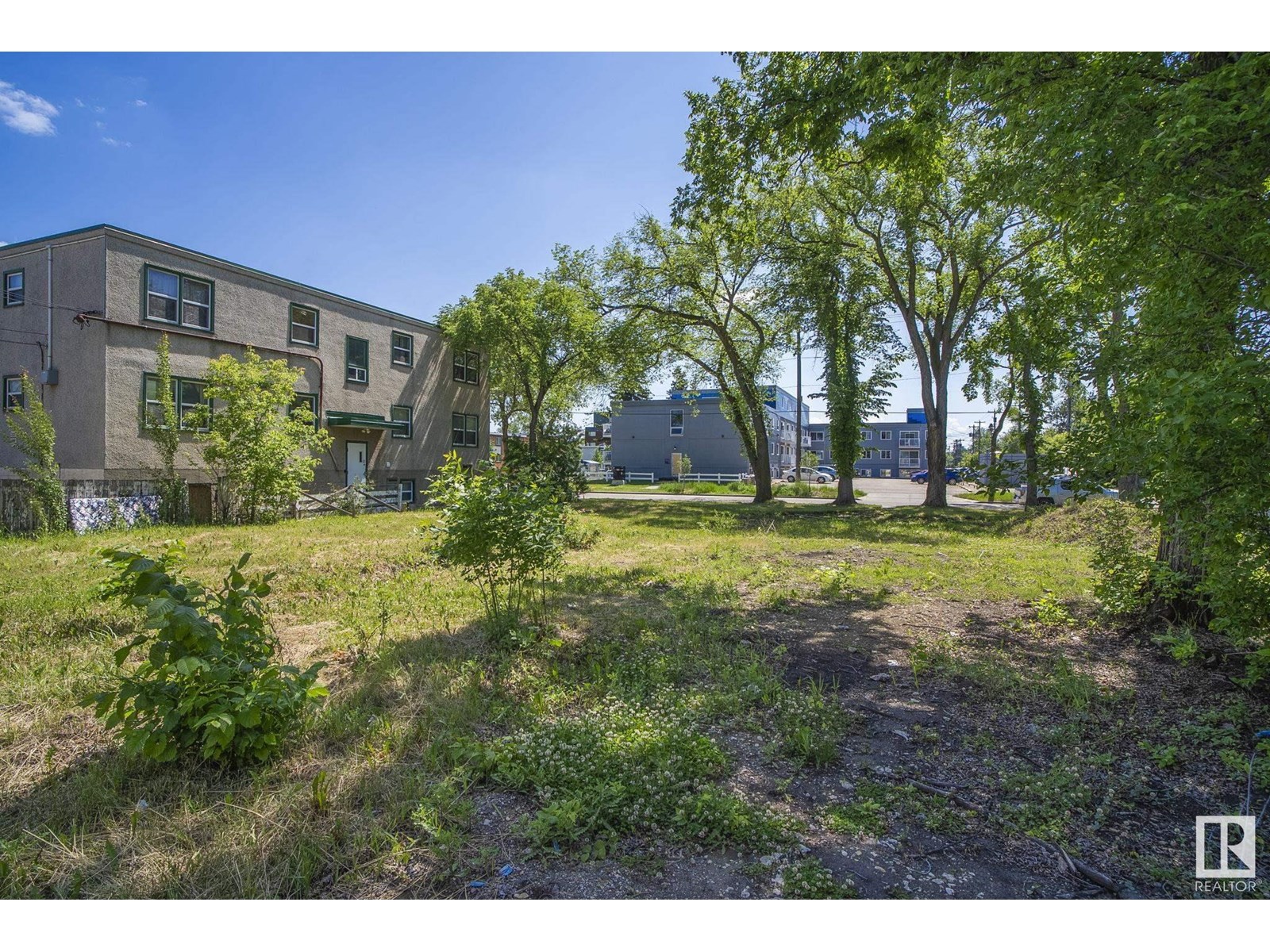 12414 113 Av Nw, Edmonton, Alberta  T5M 2W5 - Photo 19 - E4442989