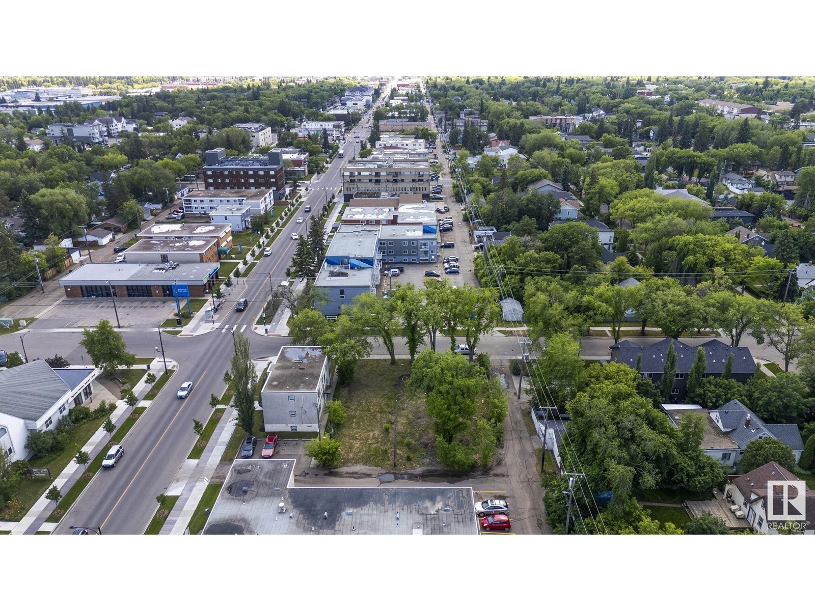 12414 113 Av Nw, Edmonton, Alberta  T5M 2W5 - Photo 10 - E4442989