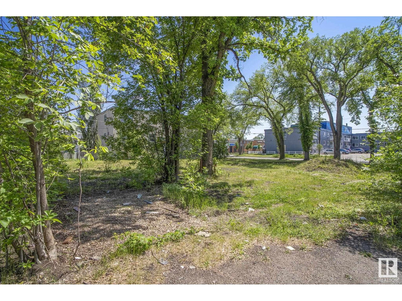 12414 113 Av Nw, Edmonton, Alberta  T5M 2W5 - Photo 16 - E4442989