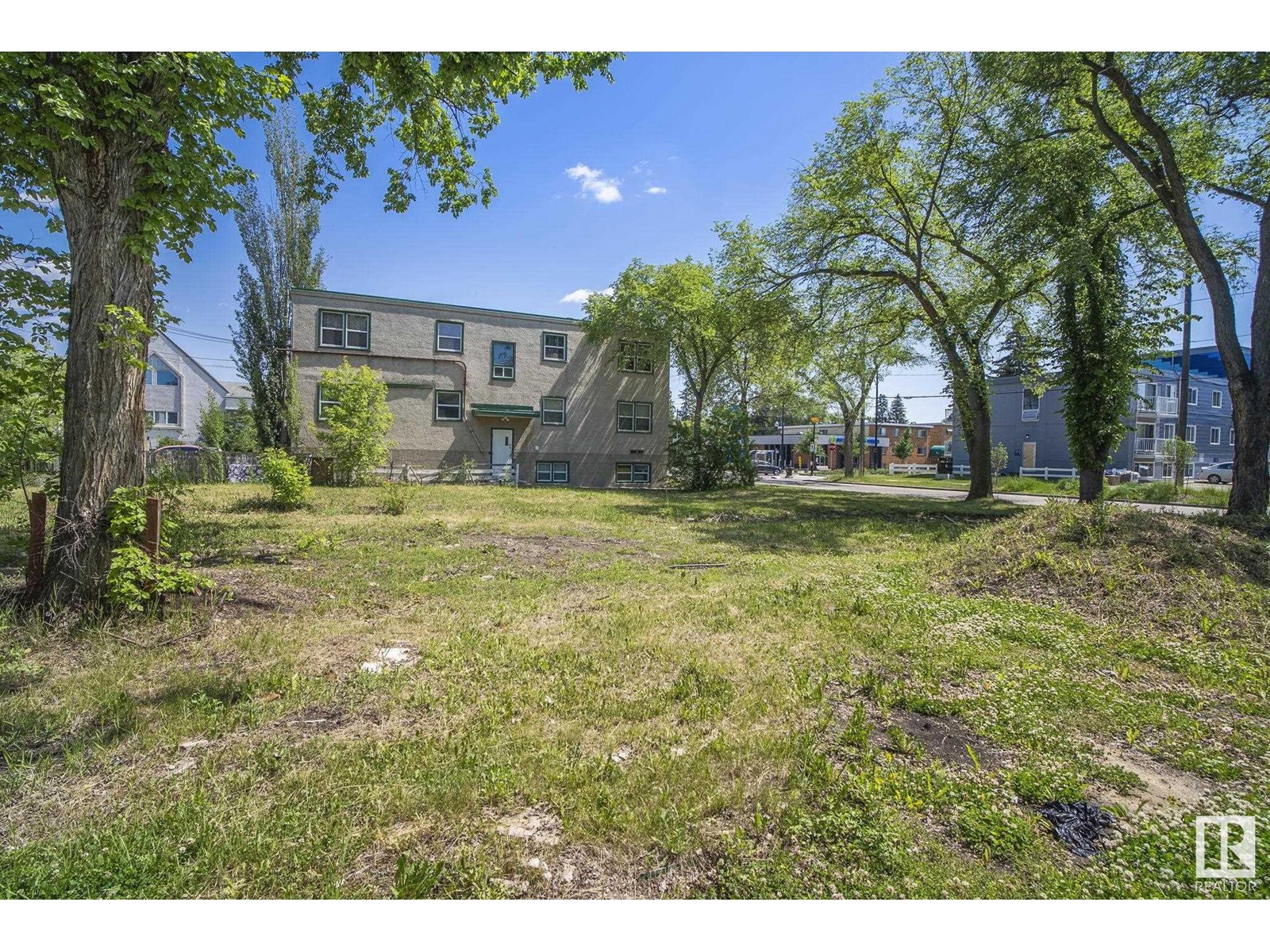 12414 113 Av Nw, Edmonton, Alberta  T5M 2W5 - Photo 18 - E4442989