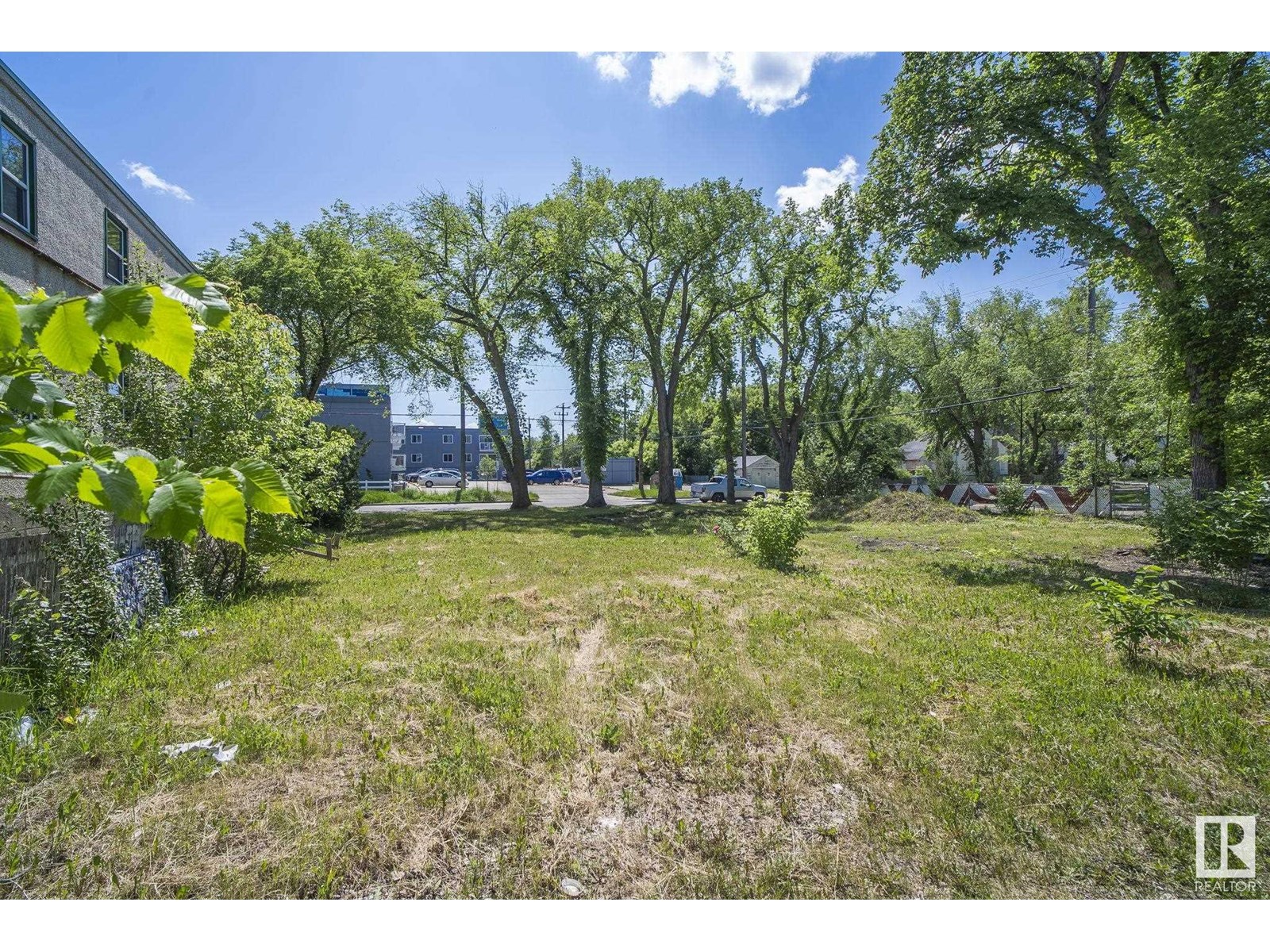 12414 113 Av Nw, Edmonton, Alberta  T5M 2W5 - Photo 20 - E4442989