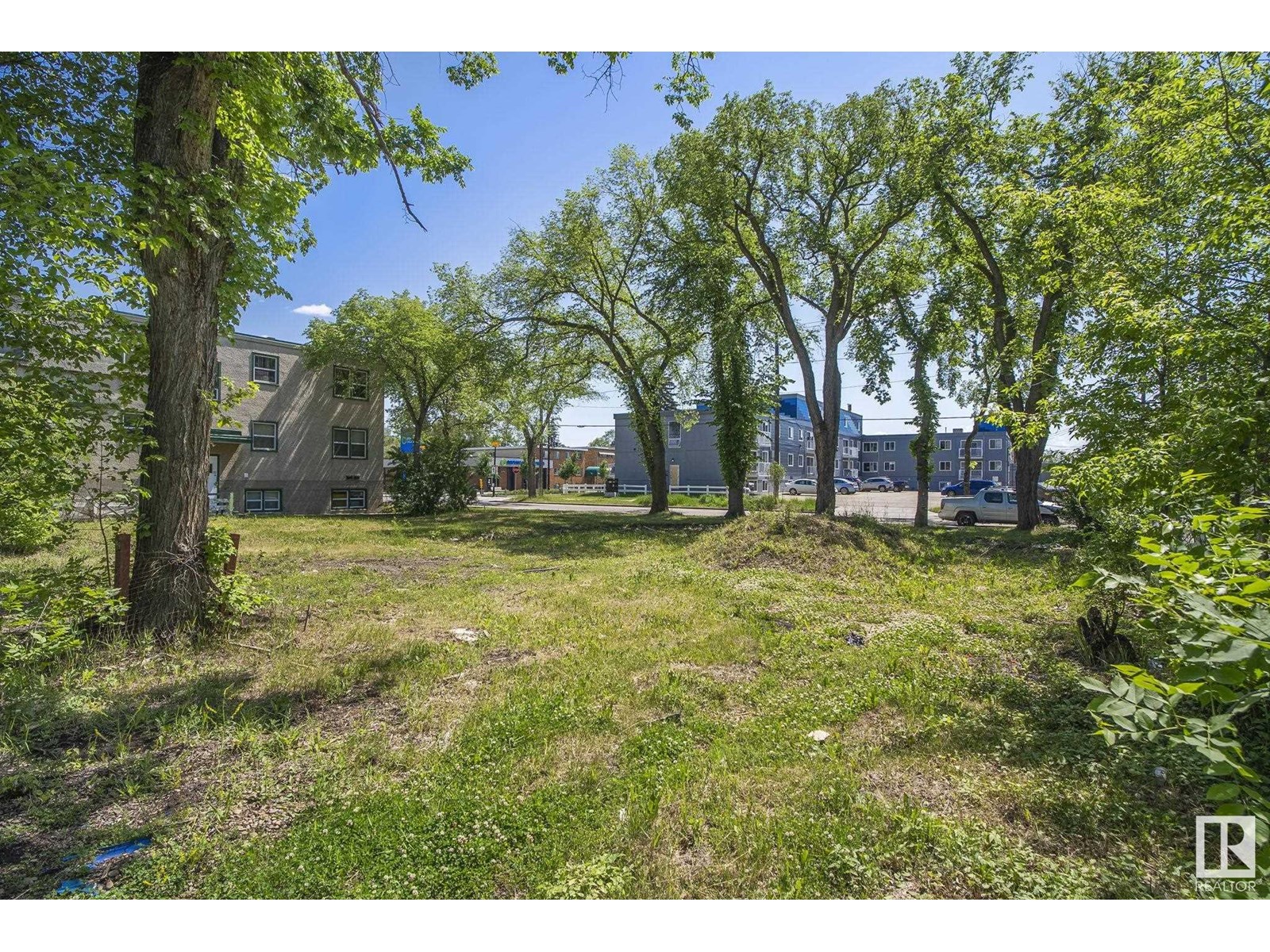 12414 113 Av Nw, Edmonton, Alberta  T5M 2W5 - Photo 17 - E4442989