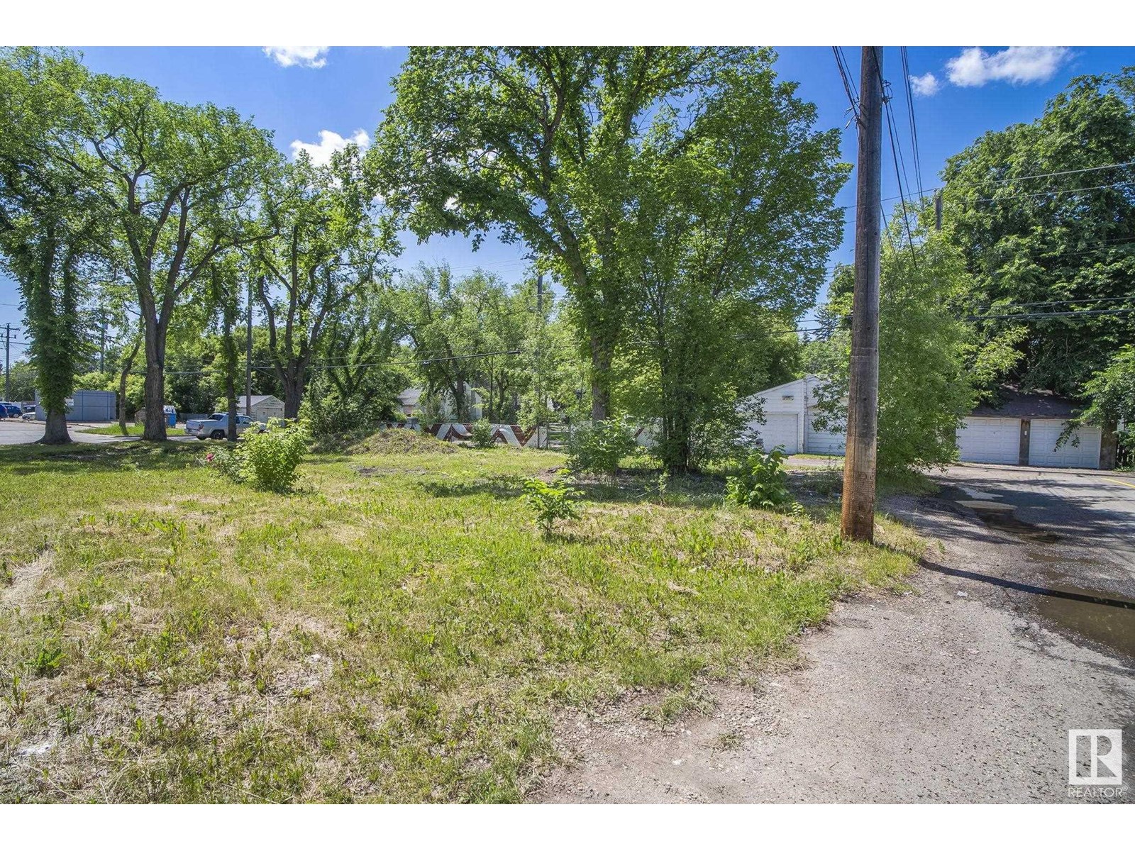 12414 113 Av Nw, Edmonton, Alberta  T5M 2W5 - Photo 21 - E4442989