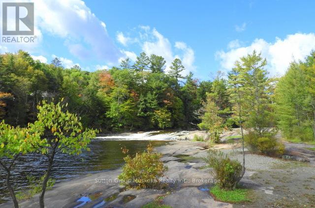 726 Muskoka Rd 10 Road, Huntsville, Ontario  P0B 1L0 - Photo 10 - X12229348