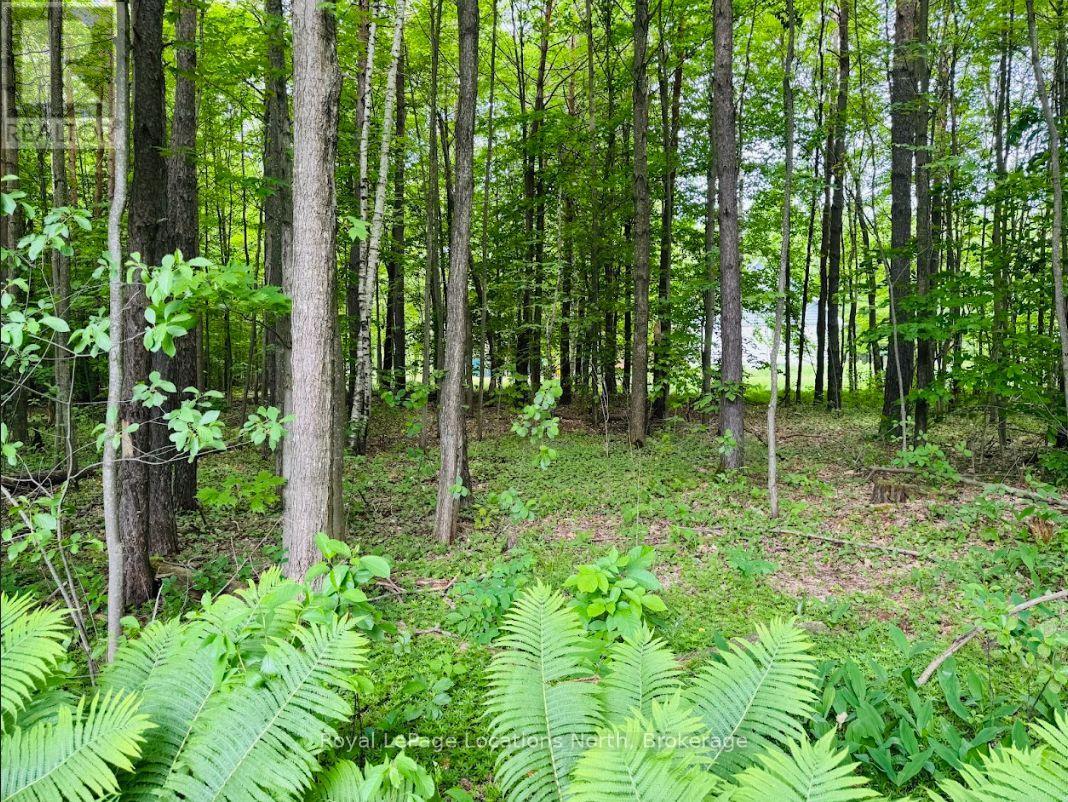 80 Concession 8 Road E, Tiny, Ontario  L0L 2J0 - Photo 19 - S12017541