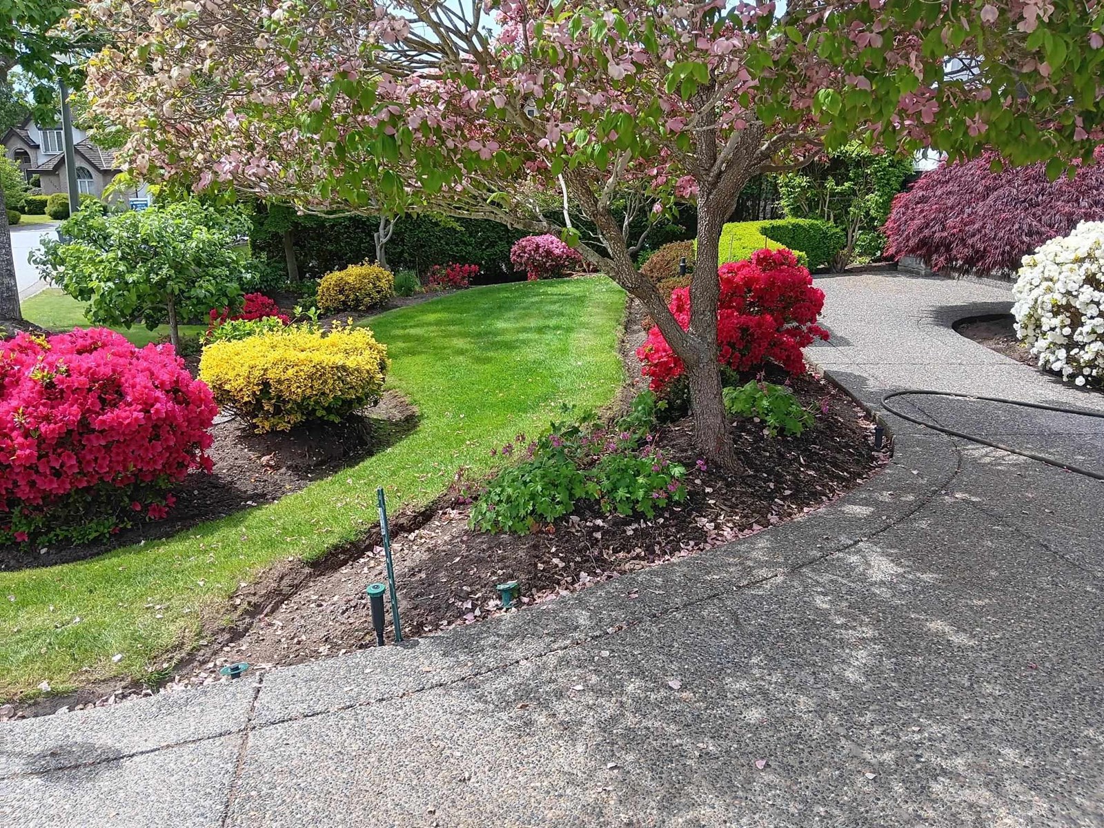 Property at 16221 MORGAN CREEK CRESCENT image 3