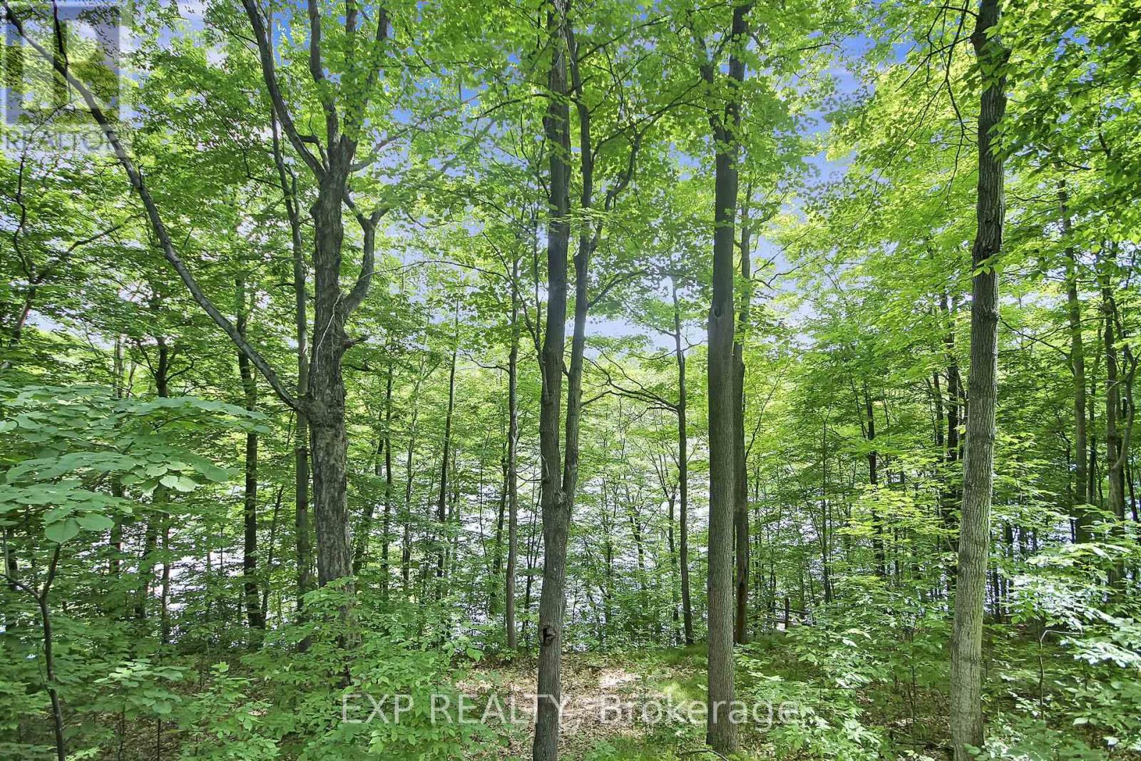 59 Fairhaven Lane, Frontenac (Frontenac South), Ontario  K0H 2B0 - Photo 12 - X12230920