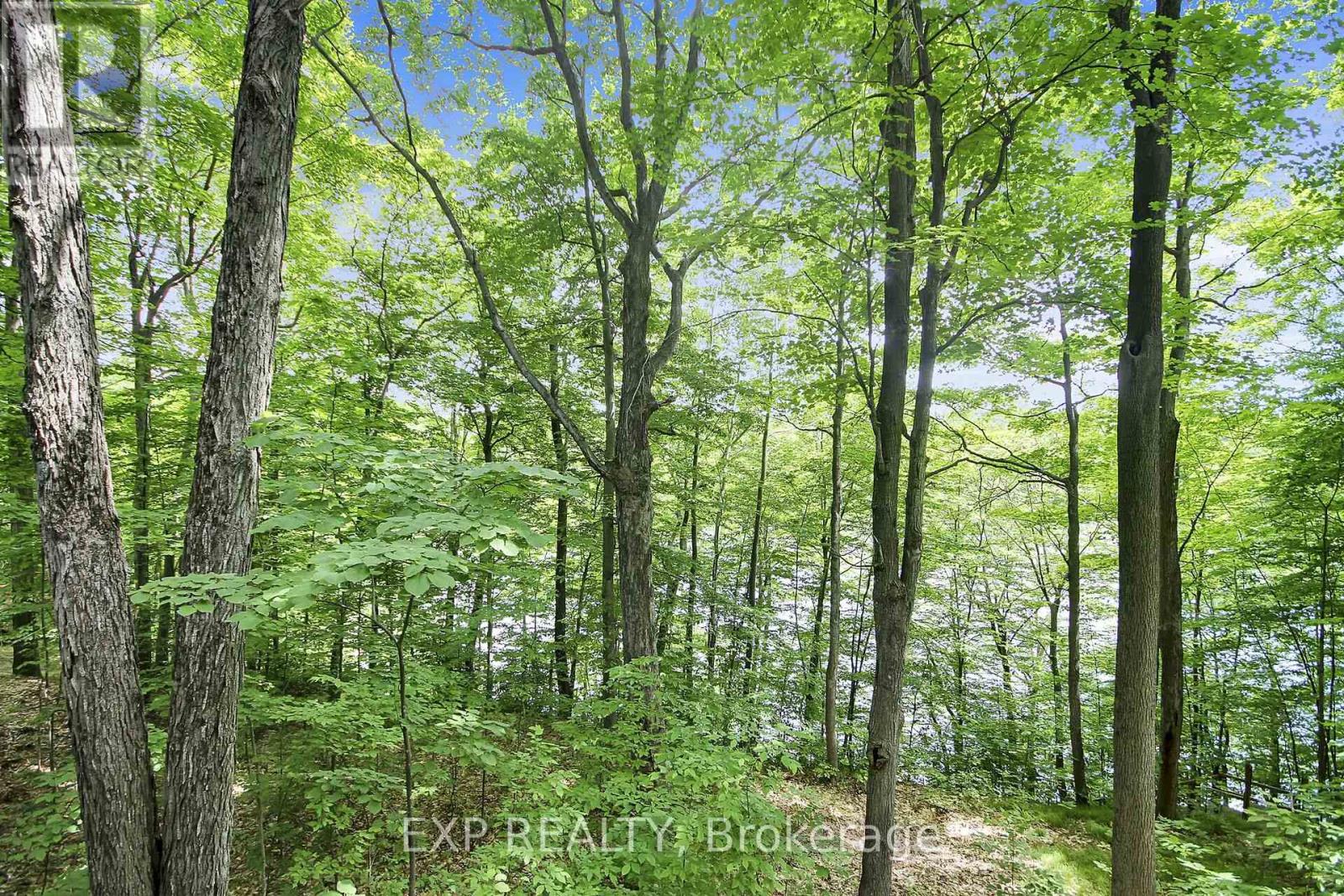 59 Fairhaven Lane, Frontenac (Frontenac South), Ontario  K0H 2B0 - Photo 41 - X12230920