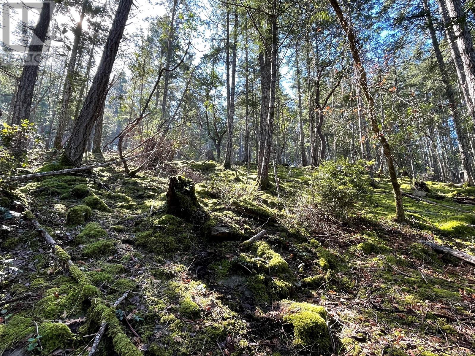 Property at Lot 145 Coho Blvd image 3