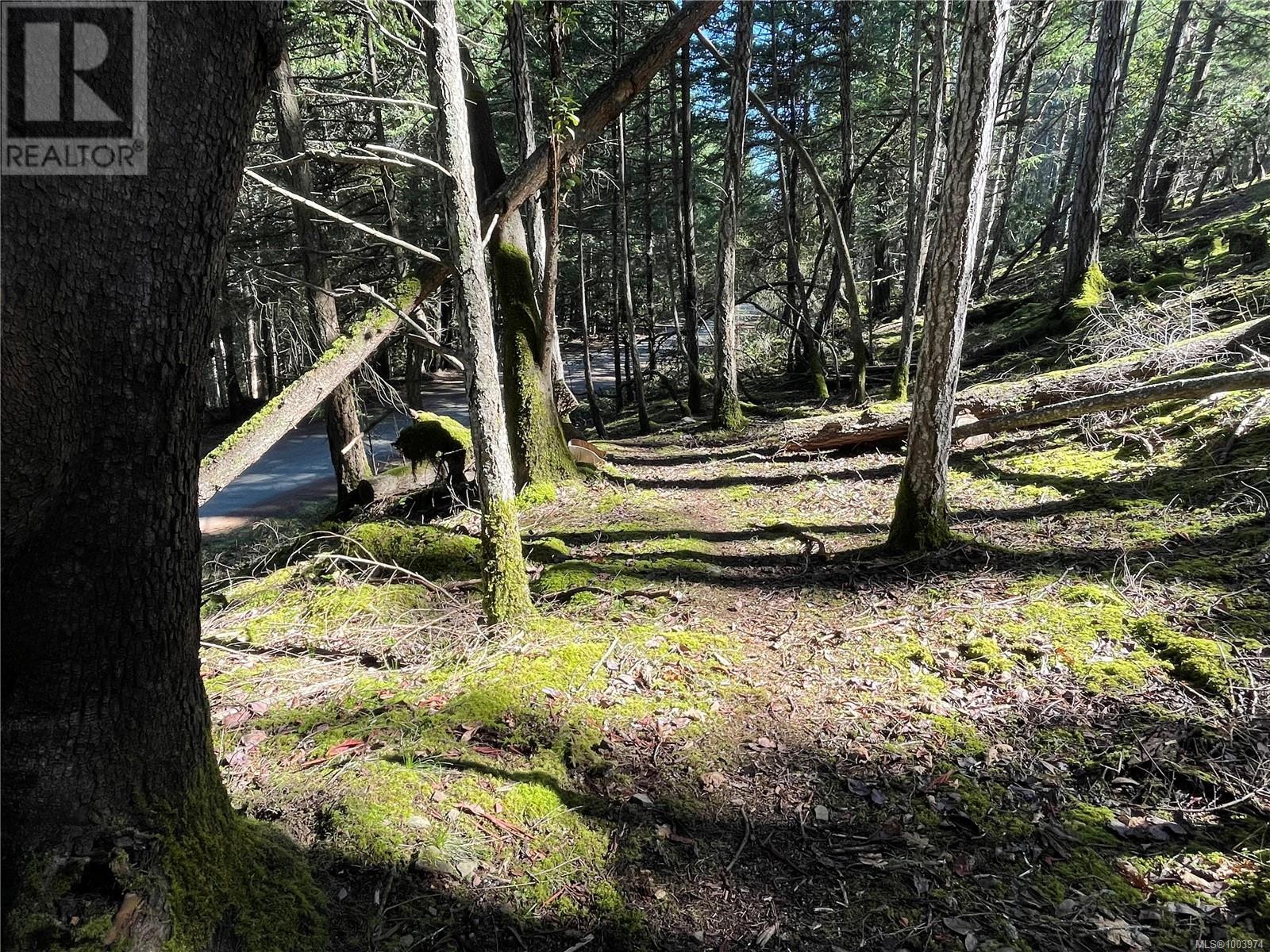 Property at Lot 145 Coho Blvd image 5