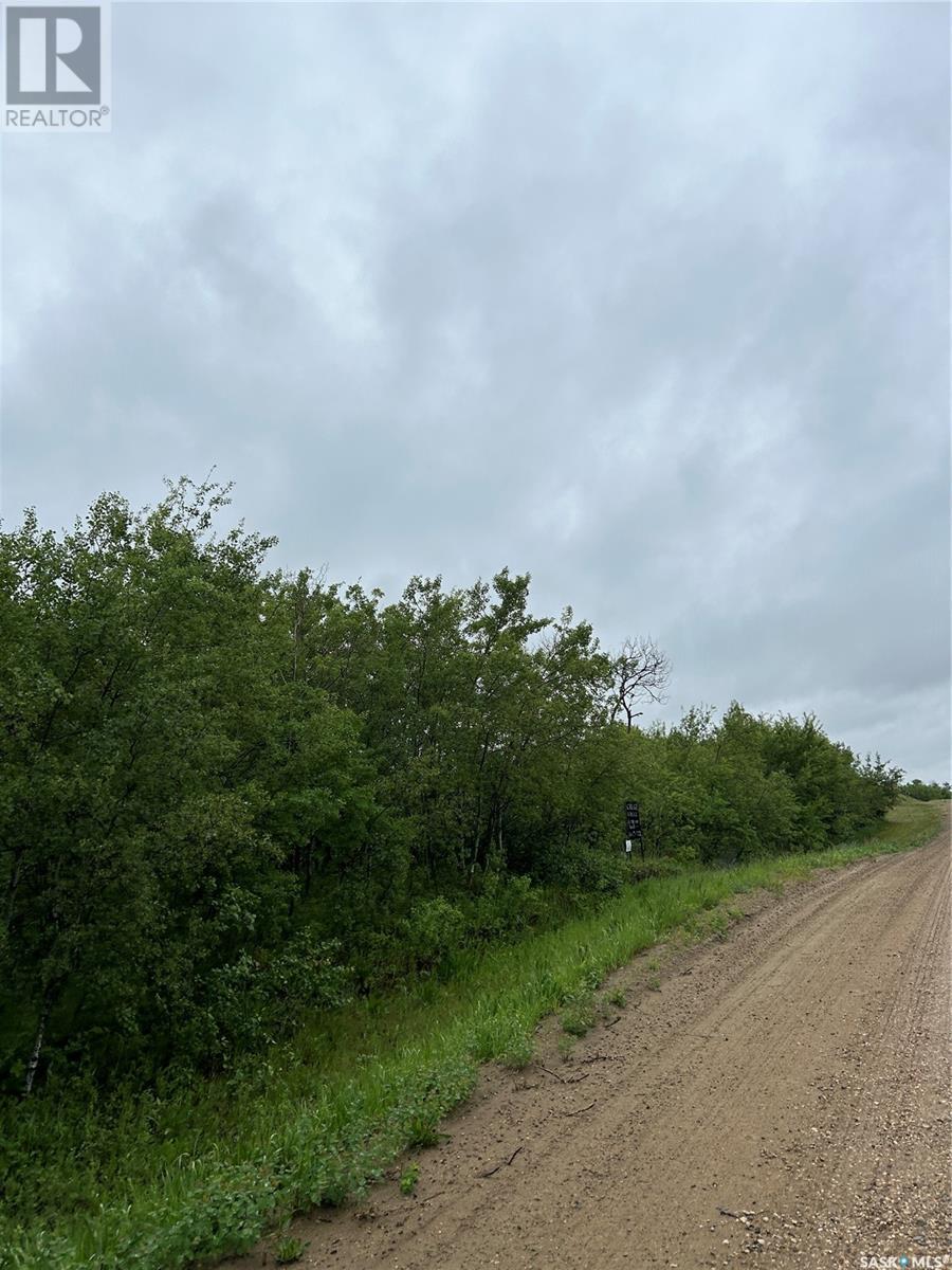 Riverview Road Acreage Lot, Rosthern Rm No. 403, Saskatchewan  S0K 1X0 - Photo 5 - SK009996