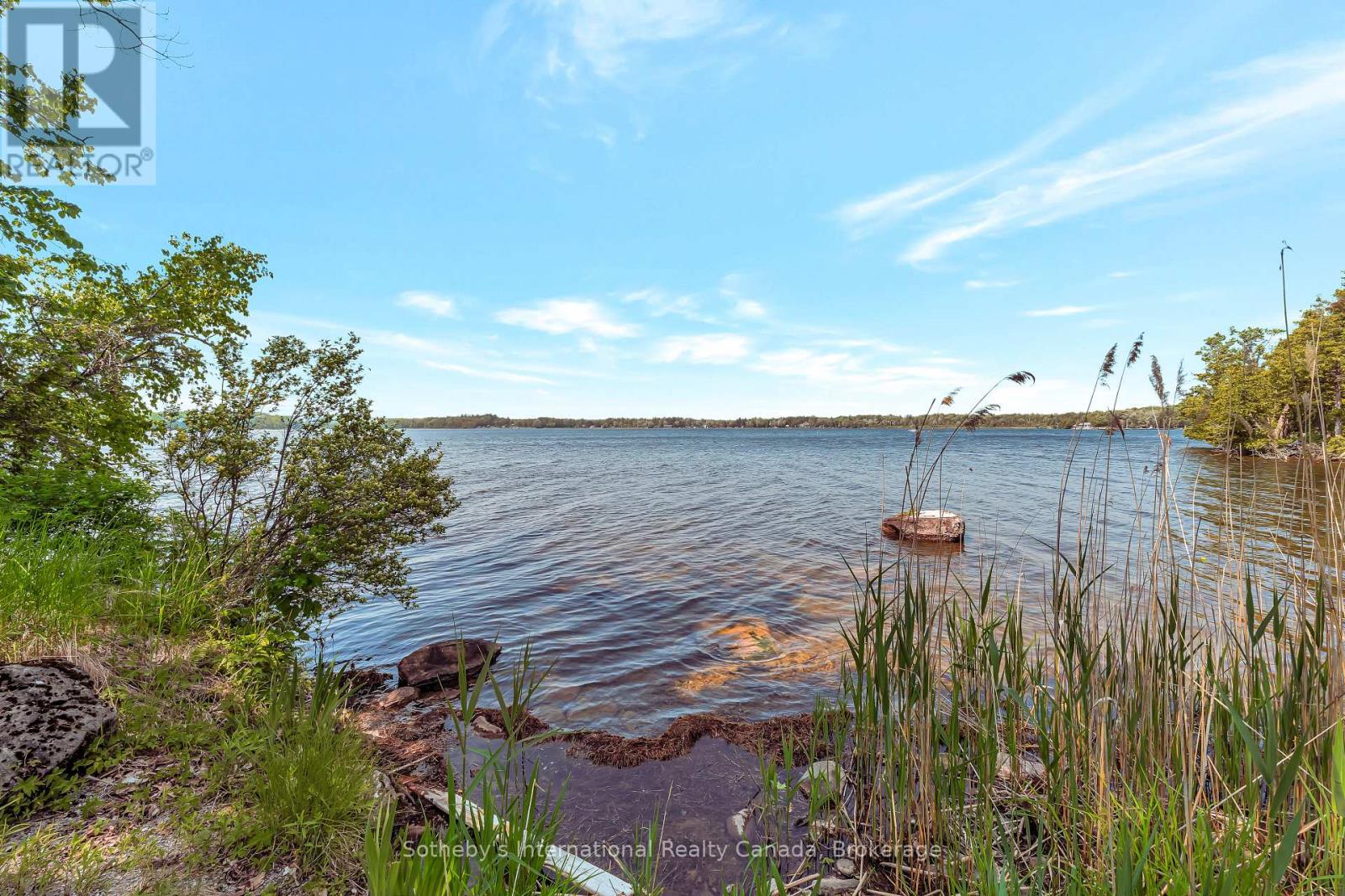 0 Nappan Island, Trent Hills, Ontario  K0L 2Z0 - Photo 34 - X11972353