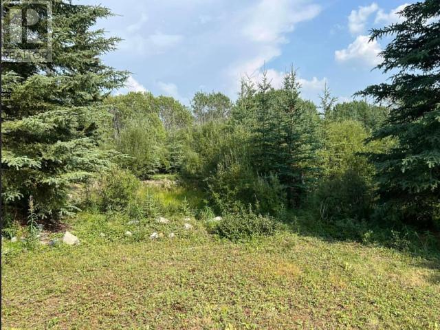 27 Tagish Estates, Whitehorse South, Yukon Y0B 0B2 - Photo 17 - 16570