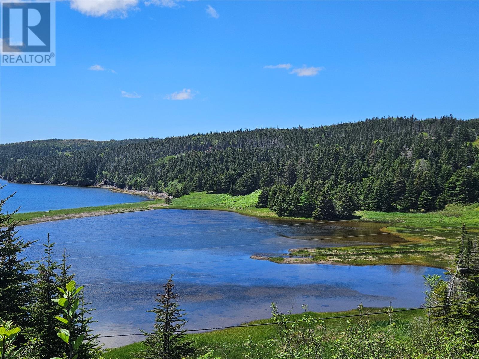 0 Cashel's Cove S, Spanish Room, Newfoundland & Labrador  A0E 2M0 - Photo 3 - 1286687