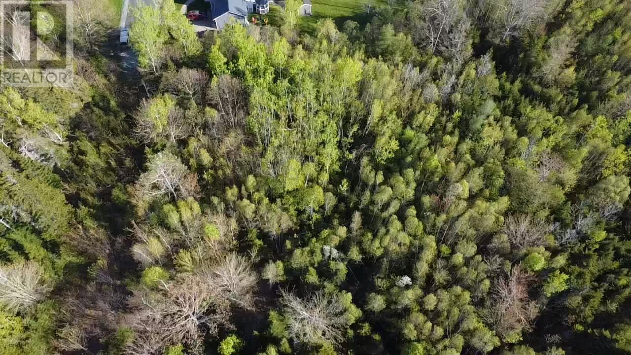 24-1 Forest Drive Extension, Pictou, Nova Scotia  B0K 1H0 - Photo 5 - 202512064