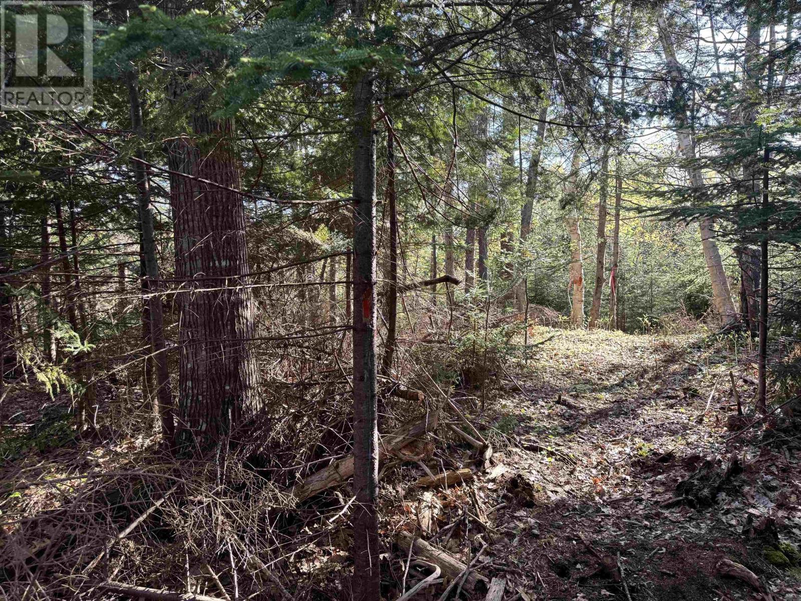 24-1 Forest Drive Extension, Pictou, Nova Scotia  B0K 1H0 - Photo 3 - 202512064
