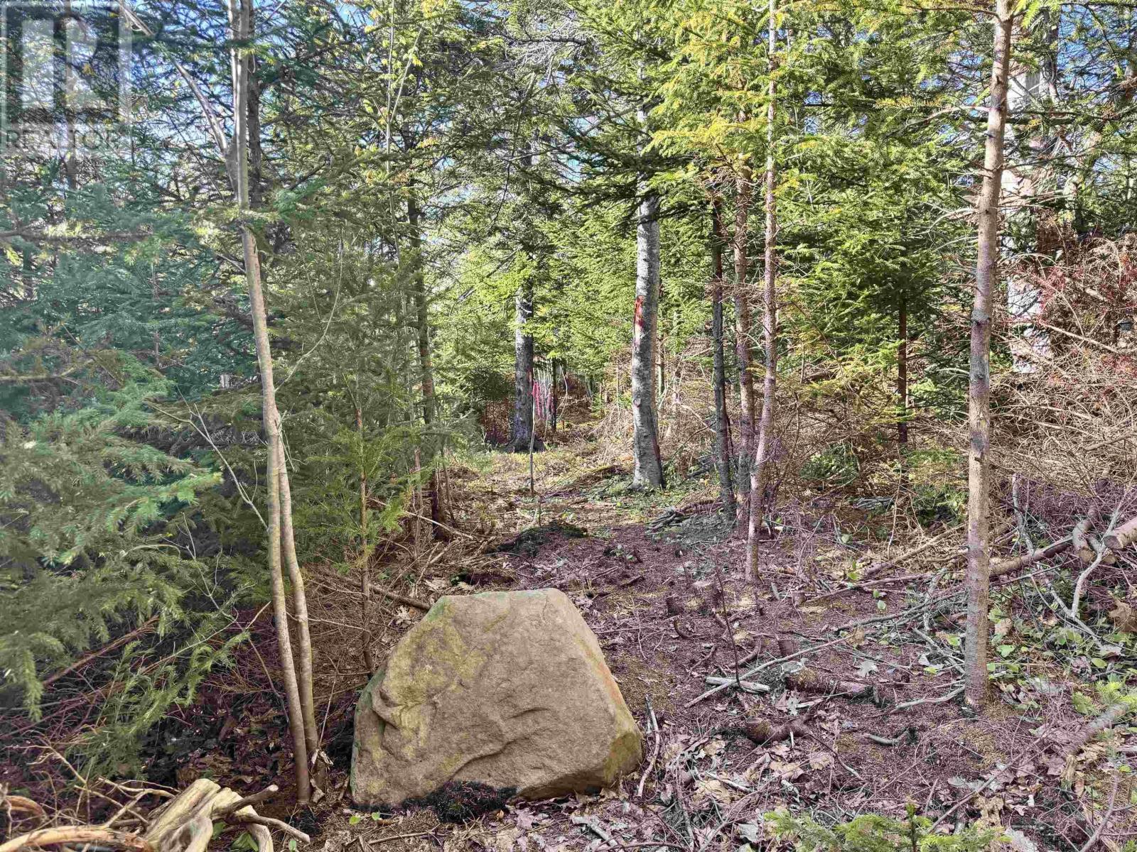 24-2 Forest Drive Extension, Pictou, Nova Scotia  B0K 1H0 - Photo 1 - 202512060