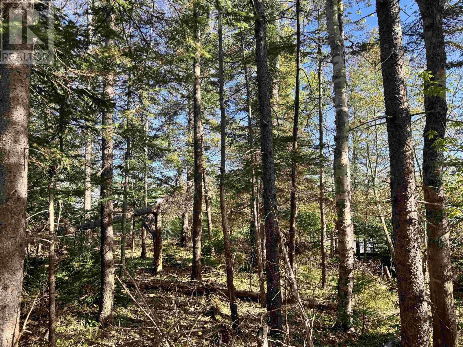24-2 Forest Drive Extension, Pictou, Nova Scotia  B0K 1H0 - Photo 3 - 202512060