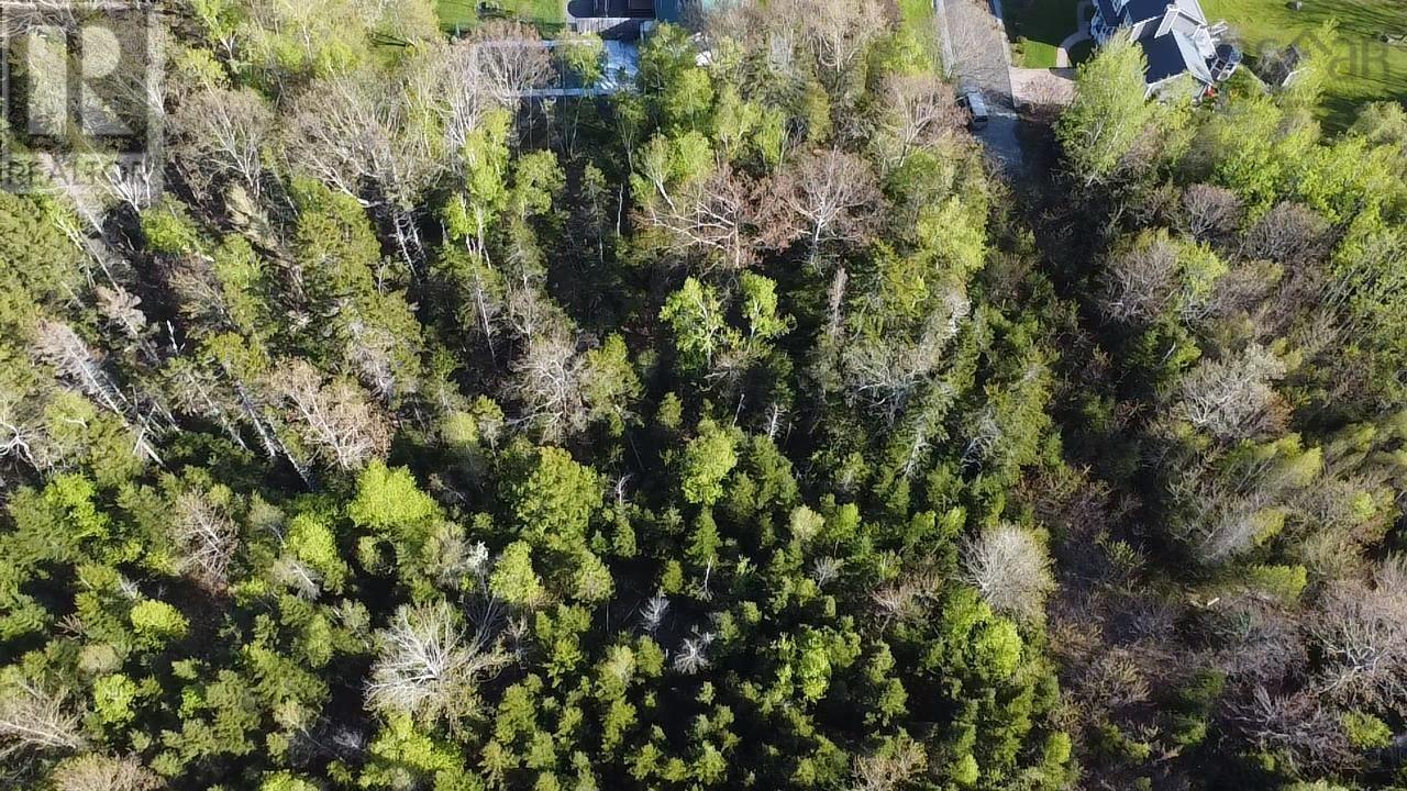 24-2 Forest Drive Extension, Pictou, Nova Scotia  B0K 1H0 - Photo 5 - 202512060