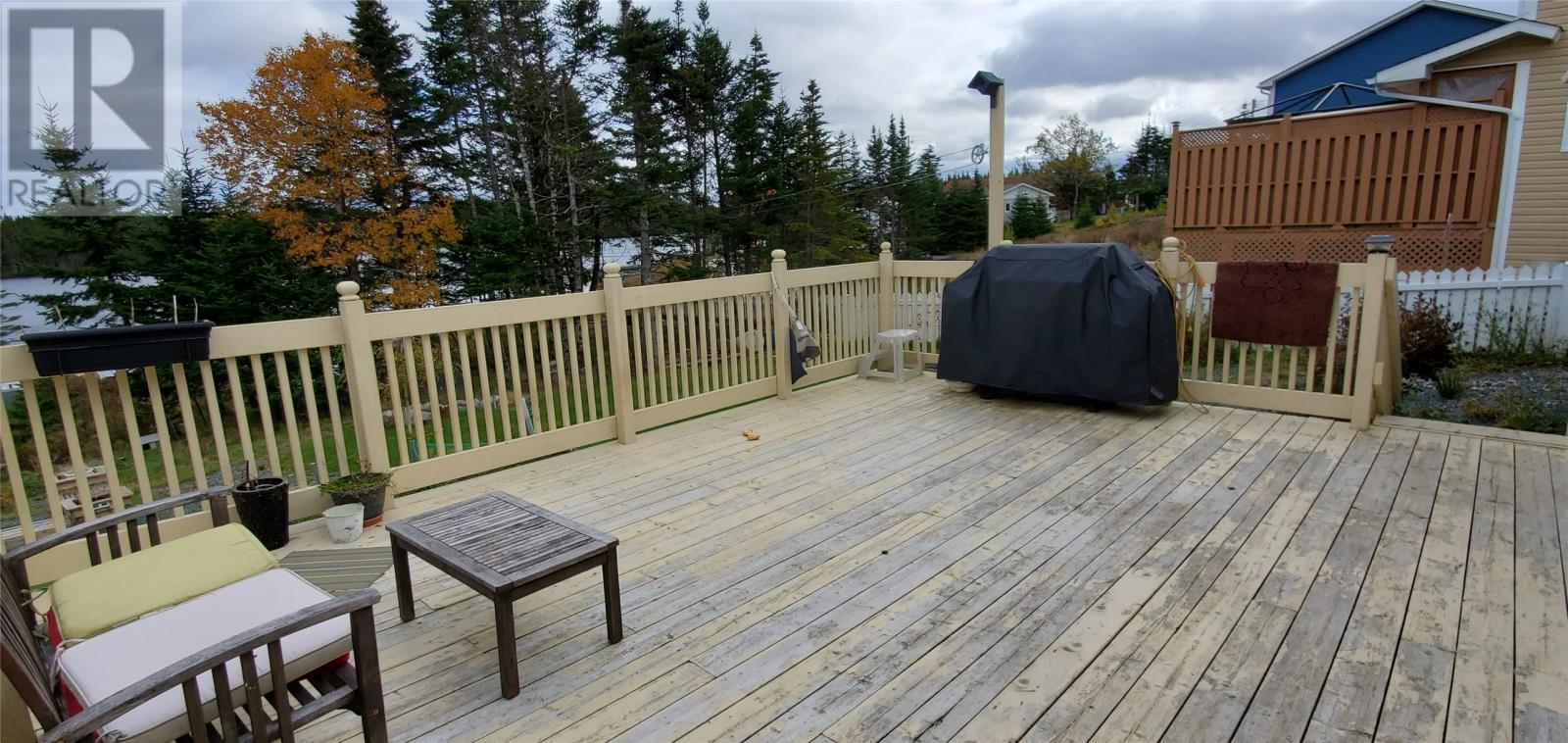 000 Pennys Lane, Salmonier, Newfoundland & Labrador  A0A 2R0 - Photo 10 - 1286616