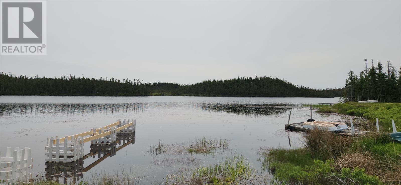 000 Pennys Lane, Salmonier, Newfoundland & Labrador  A0A 2R0 - Photo 25 - 1286616
