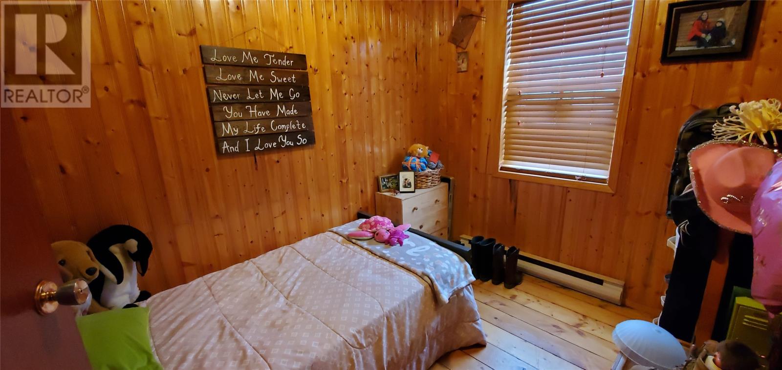 000 Pennys Lane, Salmonier, Newfoundland & Labrador  A0A 2R0 - Photo 8 - 1286616
