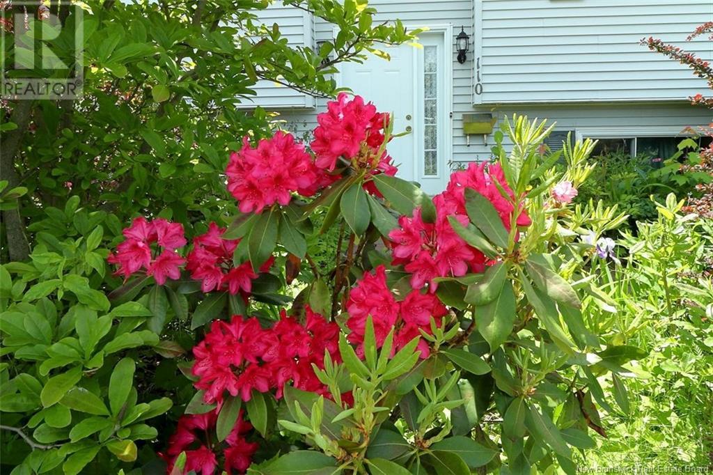 Property at 110 Chandler Drive image 3