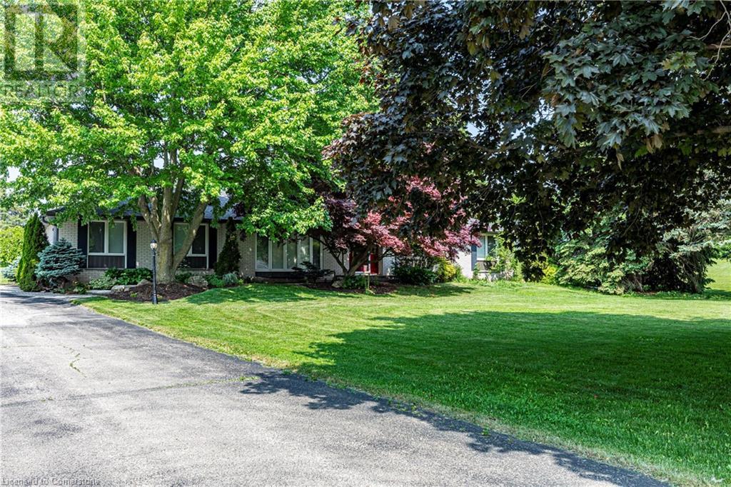 Property at 4245 CEDAR SPRINGS Road image 2