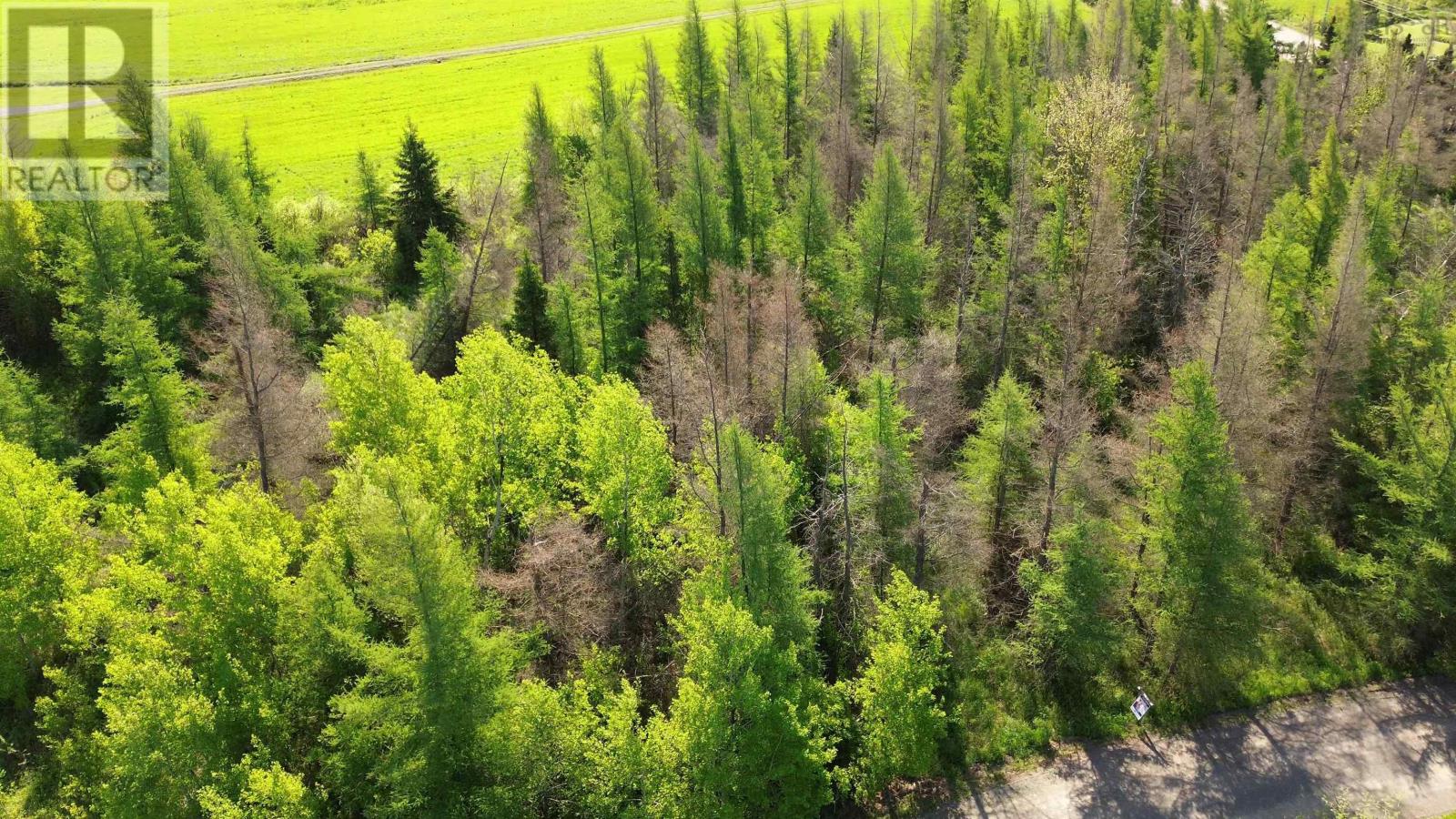 Lot 55 Appalosa Trail, Bayhead, Nova Scotia  B0K 1V0 - Photo 3 - 202505744