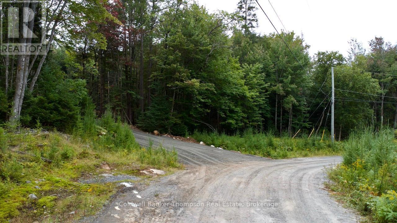 5 Foxwood Court, Huntsville, Ontario  P1H 2N5 - Photo 1 - X12231569