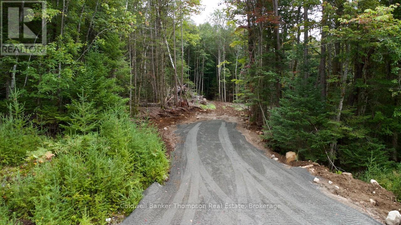 5 Foxwood Court, Huntsville, Ontario  P1H 2N5 - Photo 2 - X12231569