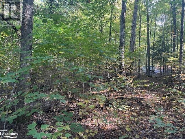 2 Stone Gate Lane, Bracebridge, Ontario  P1L 1X3 - Photo 3 - X10435048
