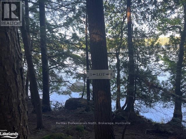 3 Stone Gate Lane, Bracebridge, Ontario  P1L 1X3 - Photo 2 - X10435078