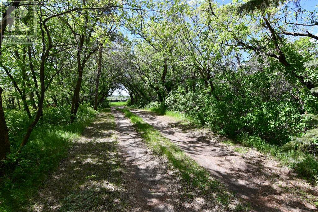 415008 Range Road 82, Rural Provost No. 52, Alberta  T0B 0B0 - Photo 33 - A2139376
