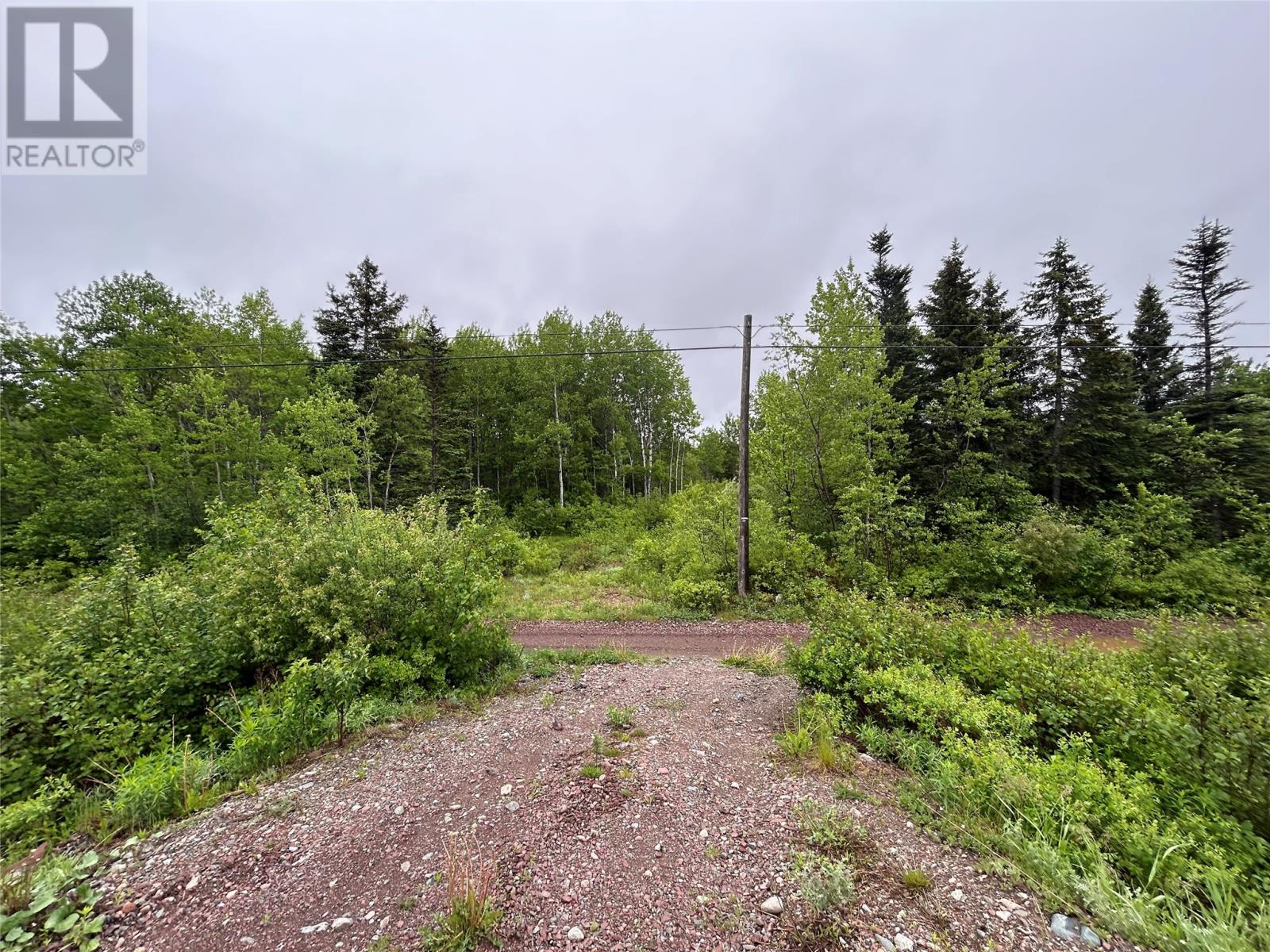 0 Swanee Pool Road, Botwood, Newfoundland & Labrador  A0H 1E0 - Photo 2 - 1286669