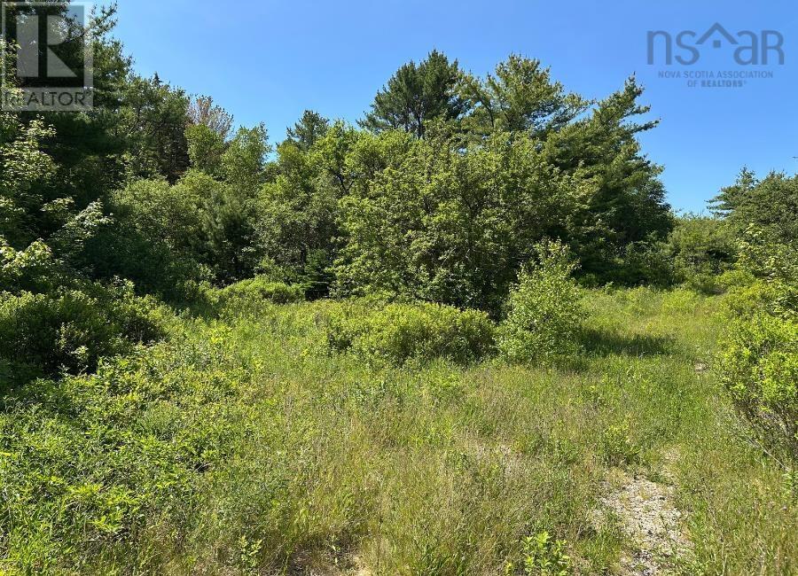 Lot 3 Target Hill Road, Chester, Nova Scotia  B0J 1J0 - Photo 5 - 202514927