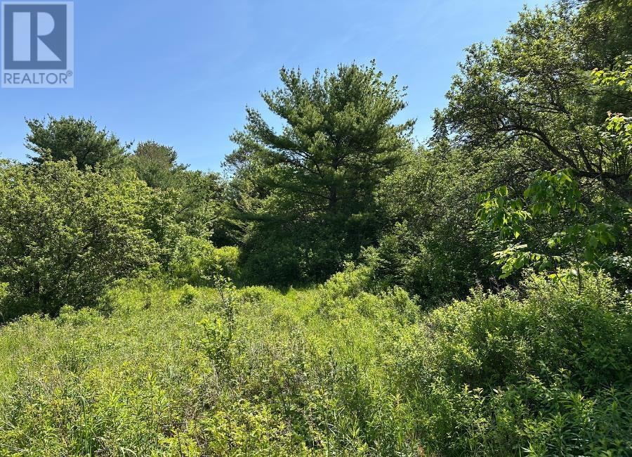 Lot 3 Target Hill Road, Chester, Nova Scotia  B0J 1J0 - Photo 4 - 202514927