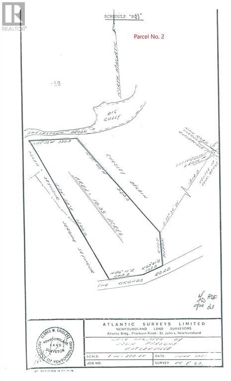 2-8 Lt Stick Drive, Bay Roberts, Newfoundland & Labrador  A0A 1G0 - Photo 35 - 1286703