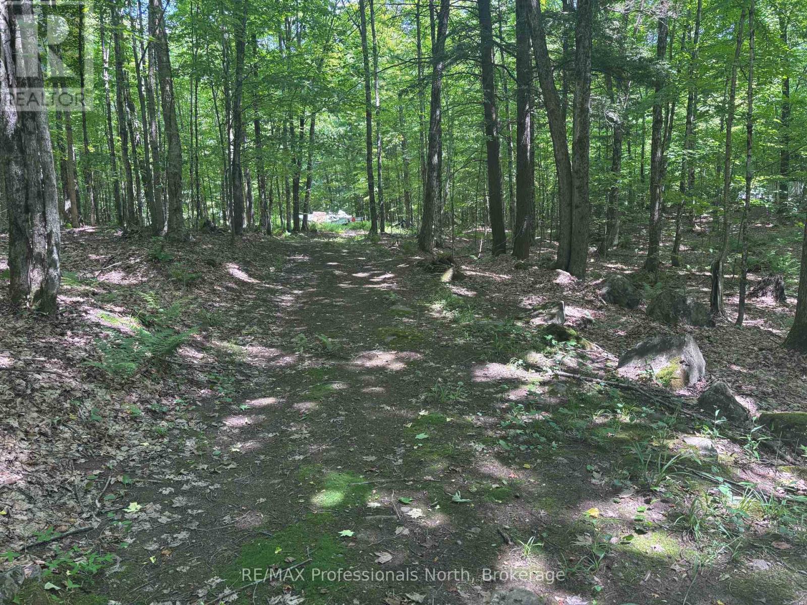 0 Irish Line, Dysart Et Al (Dysart), Ontario  K0M 1S0 - Photo 5 - X12232892