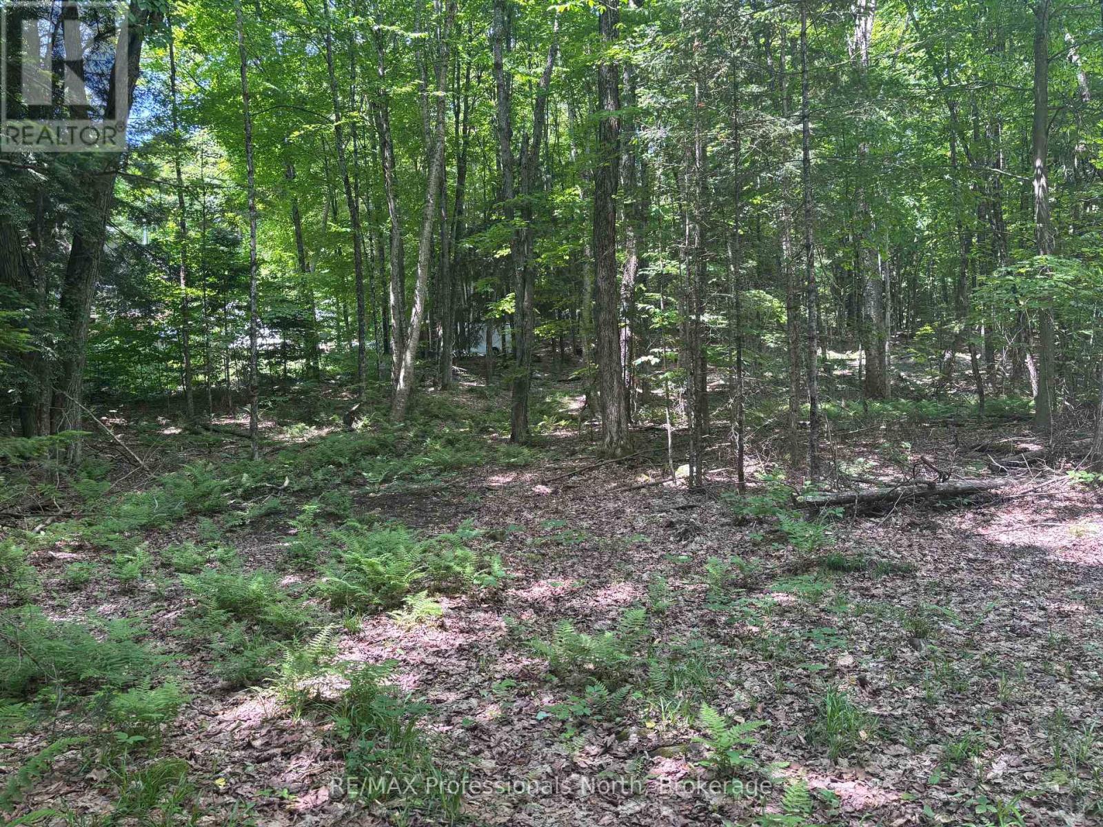0 Irish Line, Dysart Et Al (Dysart), Ontario  K0M 1S0 - Photo 6 - X12232892