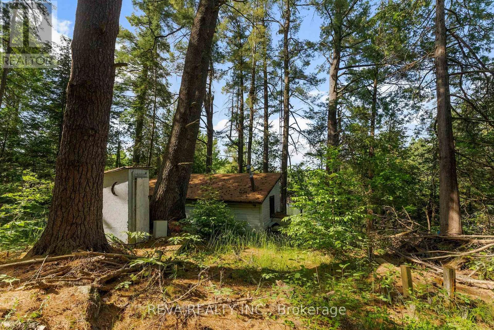 35532 Highway 28 Highway, Carlow/mayo, Ontario  K0L 2M0 - Photo 10 - X12232869