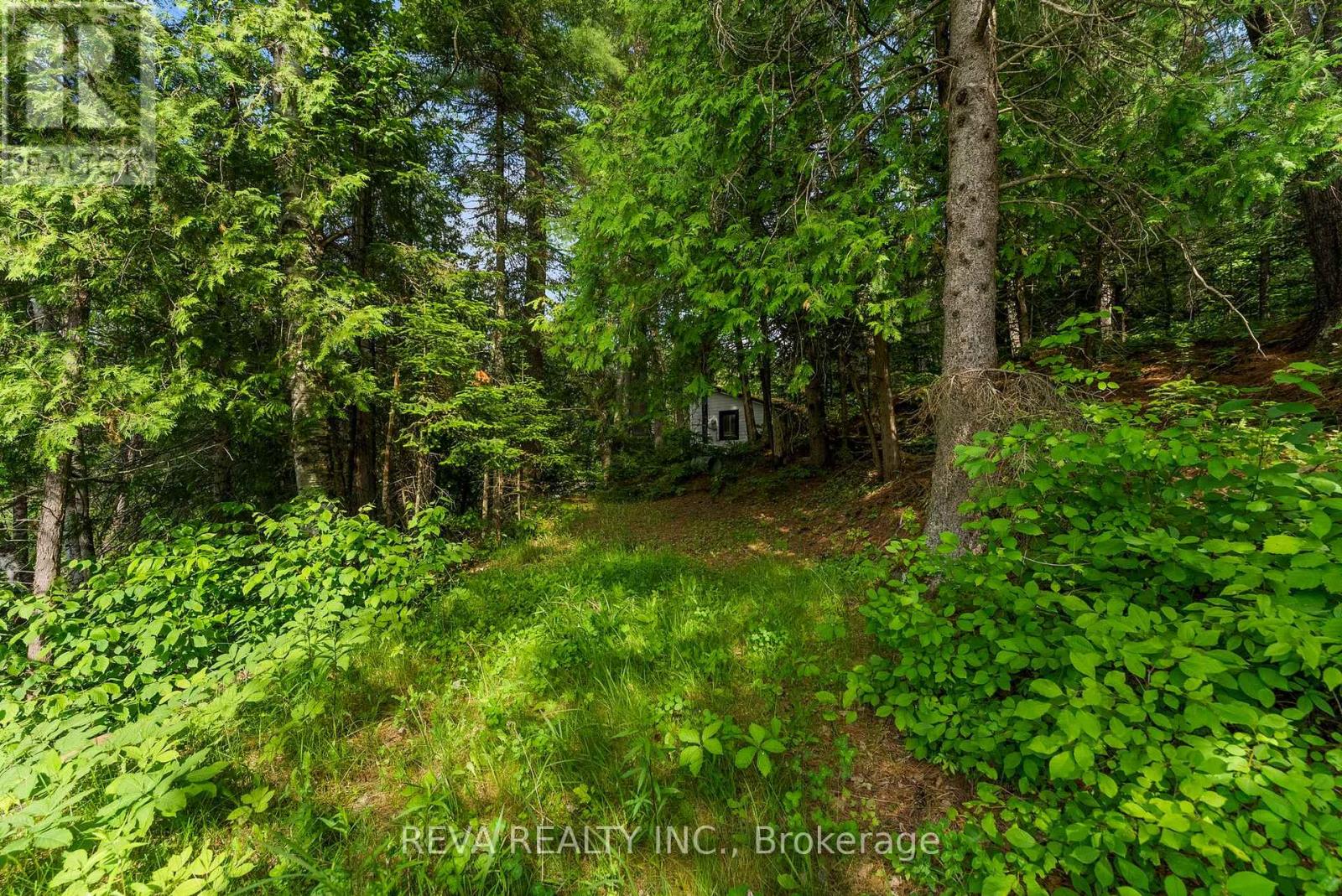 35532 Highway 28 Highway, Carlow/mayo, Ontario  K0L 2M0 - Photo 11 - X12232869