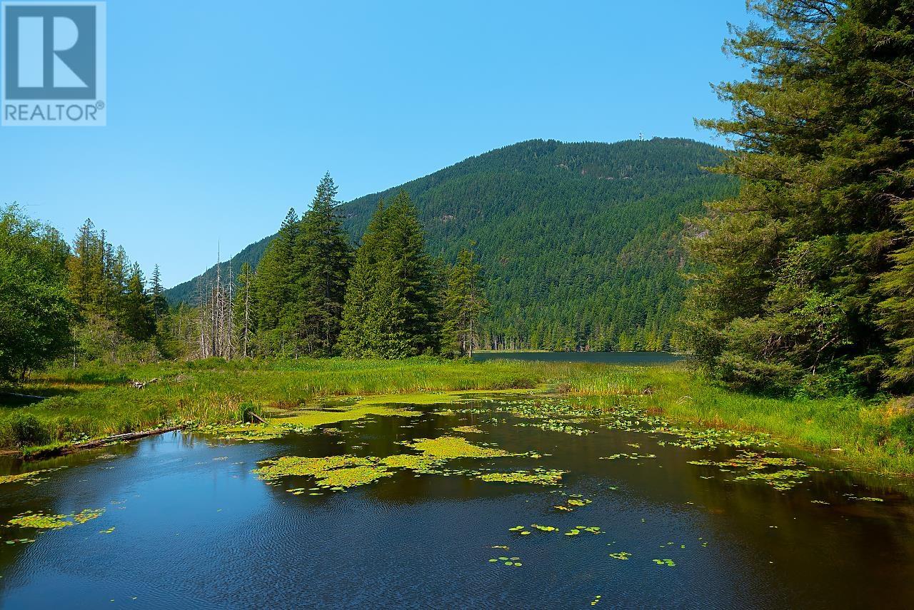 Lot 5 Forster Lane, Bowen Island, British Columbia  V0N 1G2 - Photo 13 - R3017722