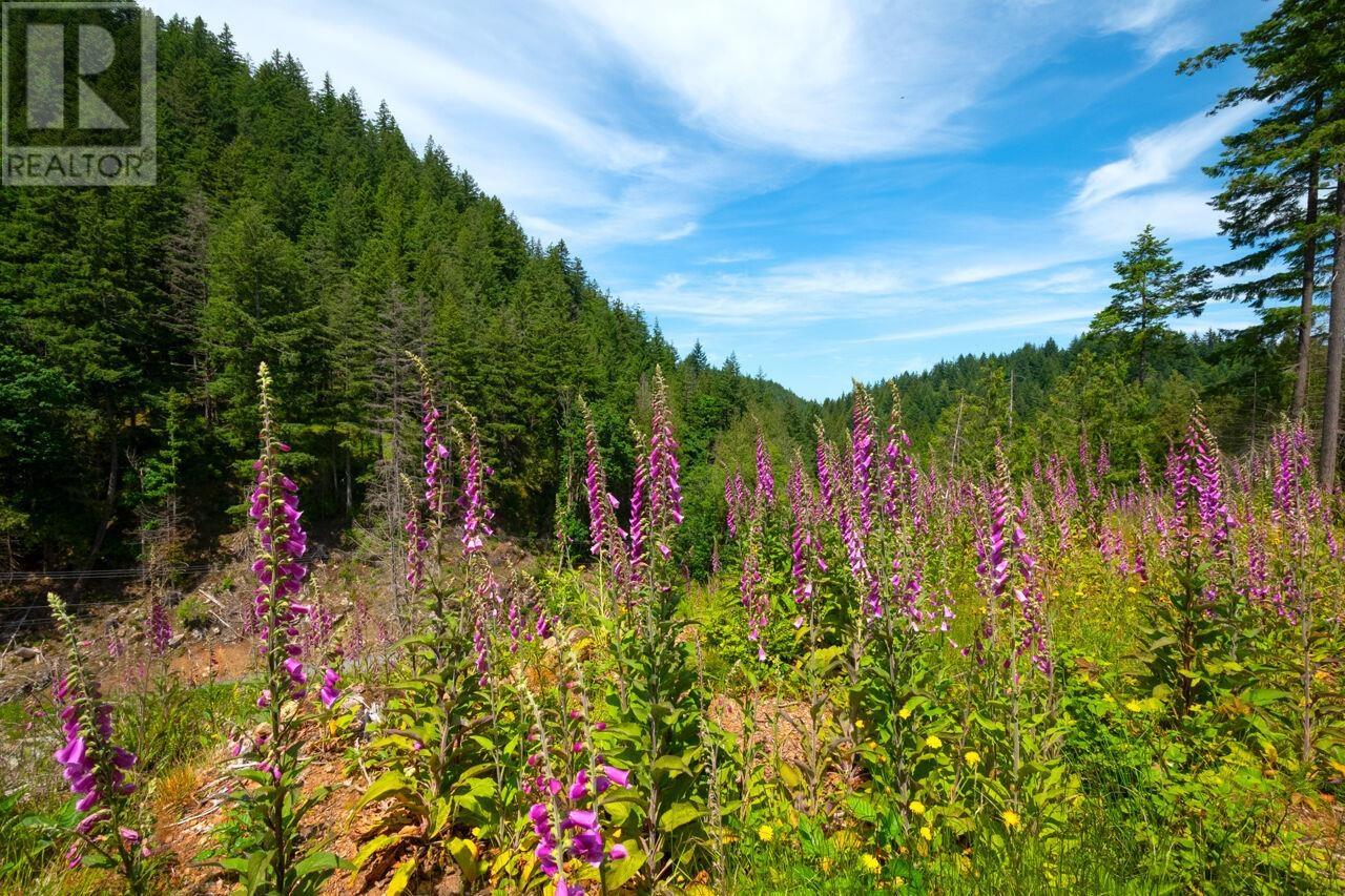 Lot 5 Forster Lane, Bowen Island, British Columbia  V0N 1G2 - Photo 3 - R3017722
