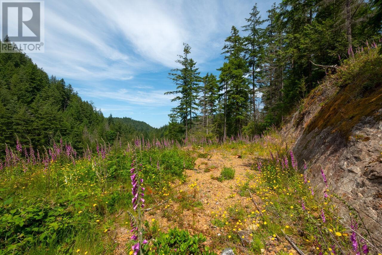 Lot 5 Forster Lane, Bowen Island, British Columbia  V0N 1G2 - Photo 6 - R3017722